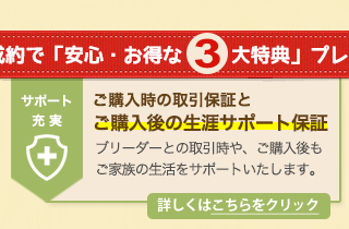 ベンガル・ブリーダーズ 特典2